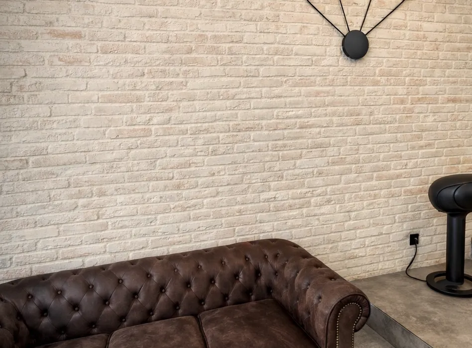 salon maison  avec murs en imitation brique